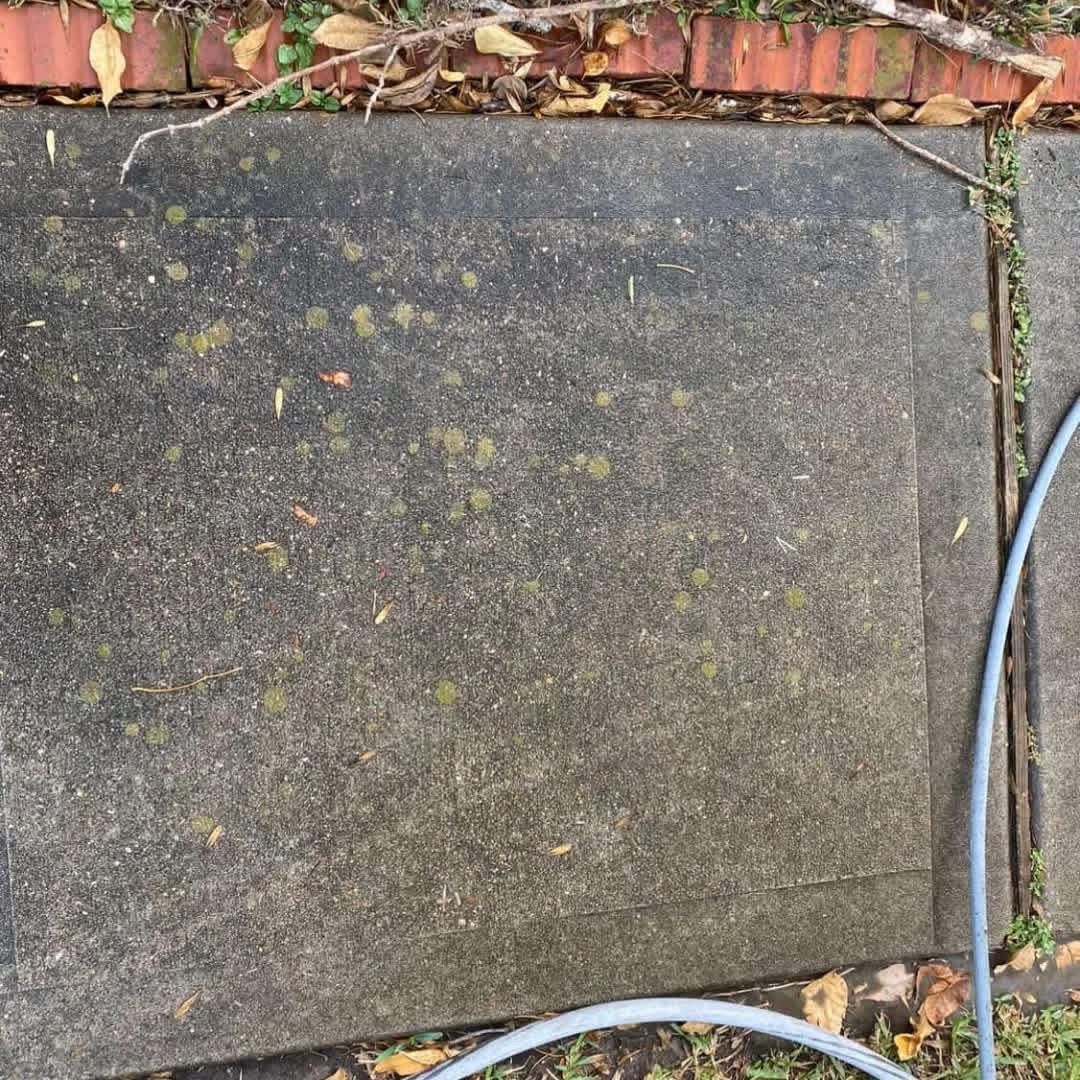 Mossy concrete walkway before treatment