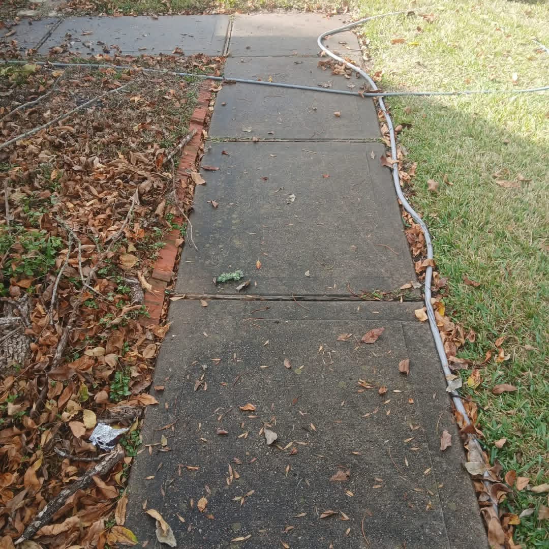 Leaf-covered sidewalk before cleanup